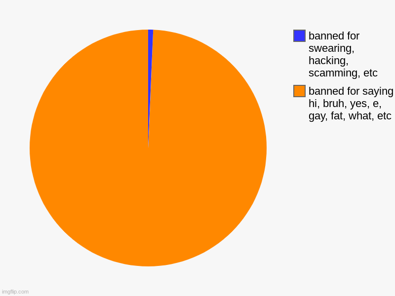 banned for saying hi, bruh, yes, e, gay, fat, what, etc, banned for swearing, hacking, scamming, etc | image tagged in charts,pie charts | made w/ Imgflip chart maker