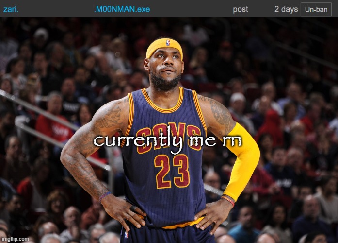 only his post ban will be raised | currently me rn | image tagged in lebron james | made w/ Imgflip meme maker