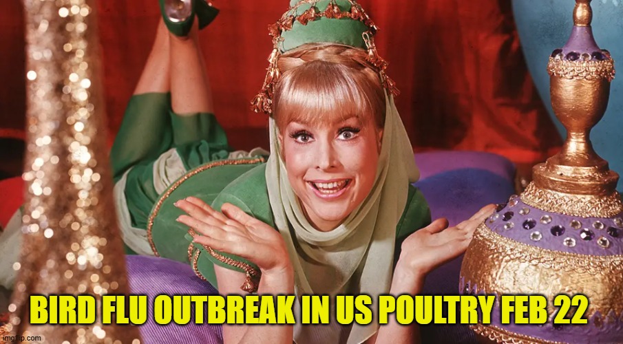 BIRD FLU OUTBREAK IN US POULTRY FEB 22 | made w/ Imgflip meme maker
