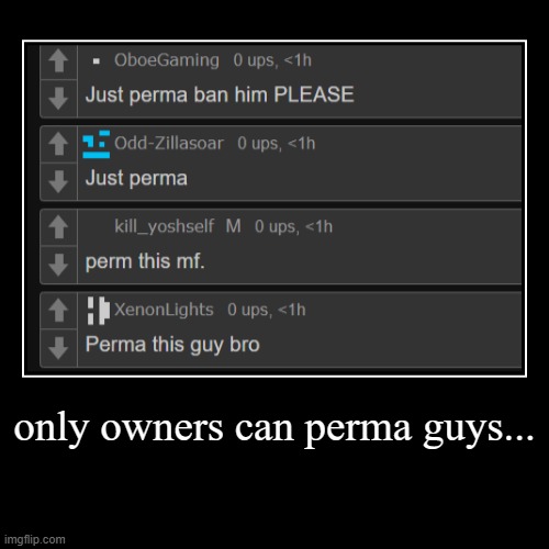 only owners can perma guys... | | made w/ Imgflip demotivational maker