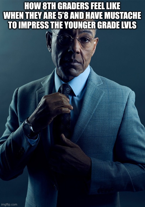 Gus Fring we are not the same | HOW 8TH GRADERS FEEL LIKE WHEN THEY ARE 5’8 AND HAVE MUSTACHE TO IMPRESS THE YOUNGER GRADE LVLS | image tagged in gus fring we are not the same | made w/ Imgflip meme maker