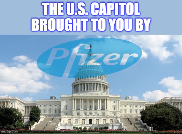 You get the vaccine, they get the immunity. | THE U.S. CAPITOL
BROUGHT TO YOU BY | image tagged in chronic,mental,illness | made w/ Imgflip meme maker