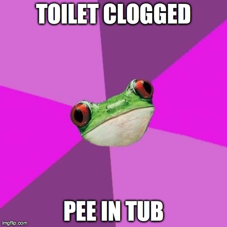 Foul Bachelorette Frog | TOILET CLOGGED PEE IN TUB | image tagged in memes,foul bachelorette frog,AdviceAnimals | made w/ Imgflip meme maker