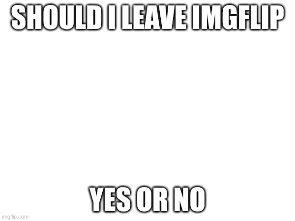 yes or no | SHOULD I LEAVE IMGFLIP; YES OR NO | image tagged in yes,no,should i leave | made w/ Imgflip meme maker