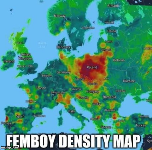 Friendly reminder :3 | image tagged in femboy,density,map,poland | made w/ Imgflip meme maker