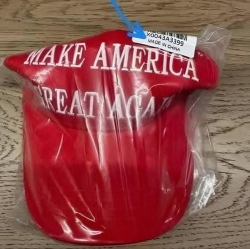 Make America great again | image tagged in america,trump | made w/ Imgflip meme maker