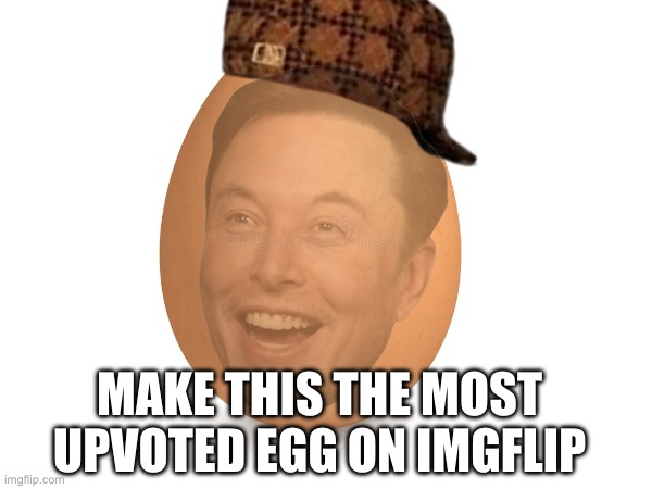 Meme | MAKE THIS THE MOST UPVOTED EGG ON IMGFLIP | image tagged in funny | made w/ Imgflip meme maker