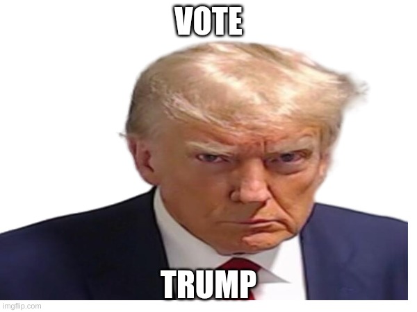 vote trumppp | VOTE; TRUMP | image tagged in donald trump | made w/ Imgflip meme maker