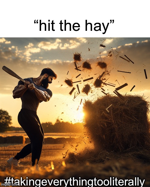 taking everyhthing too literally | “hit the hay”; #takingeverythingtooliterally | image tagged in literal meme | made w/ Imgflip meme maker