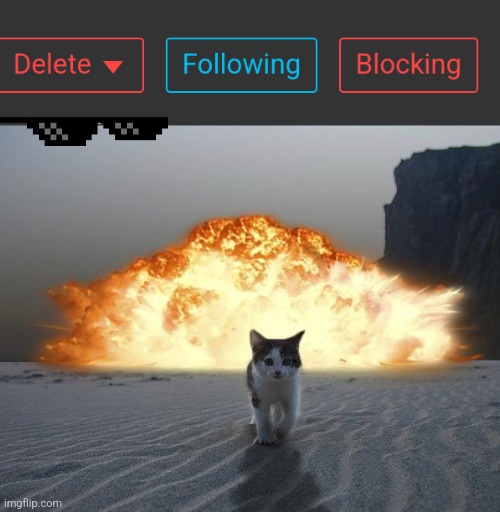 image tagged in cat explosion | made w/ Imgflip meme maker