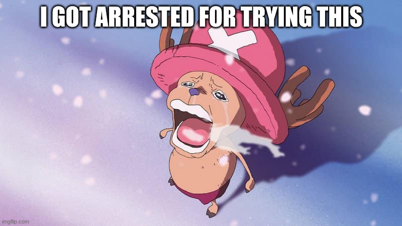 crying chopper one piece | I GOT ARRESTED FOR TRYING THIS | image tagged in crying chopper one piece | made w/ Imgflip meme maker