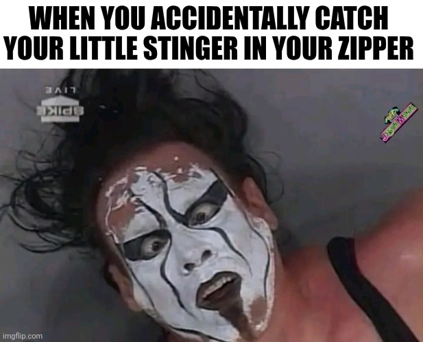 When You Accidentally Catch Your Little Stinger In Your Zipper | WHEN YOU ACCIDENTALLY CATCH YOUR LITTLE STINGER IN YOUR ZIPPER | image tagged in chris joines | made w/ Imgflip meme maker