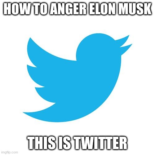 skill issue elon | HOW TO ANGER ELON MUSK; THIS IS TWITTER | image tagged in twitter birds says | made w/ Imgflip meme maker