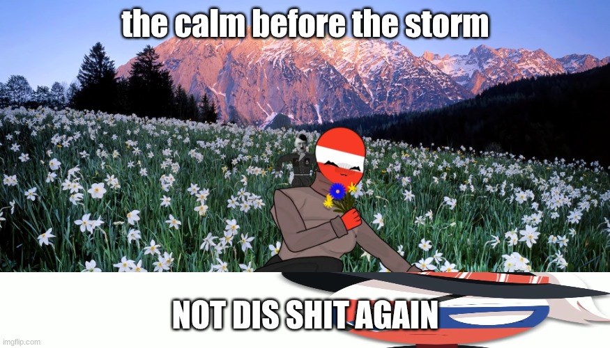 the calm before th- OH SHIT | the calm before the storm; NOT DIS SHIT AGAIN | image tagged in rip bozo | made w/ Imgflip meme maker