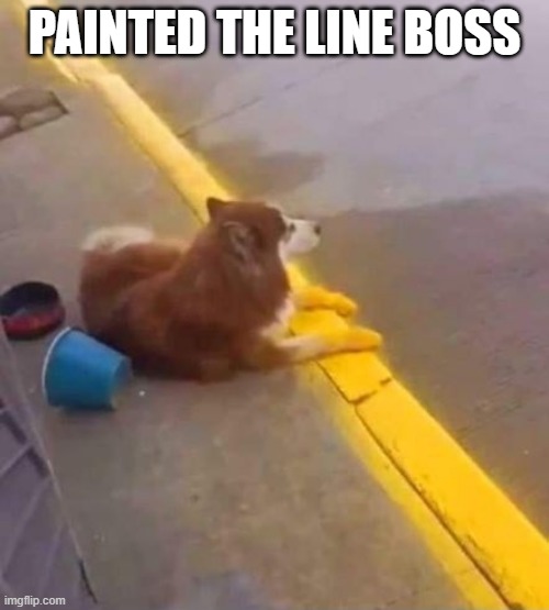 Poor Doggy | PAINTED THE LINE BOSS | image tagged in you had one job | made w/ Imgflip meme maker