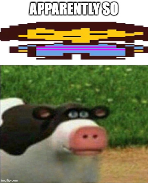 Perhaps cow | APPARENTLY SO | image tagged in perhaps cow | made w/ Imgflip meme maker