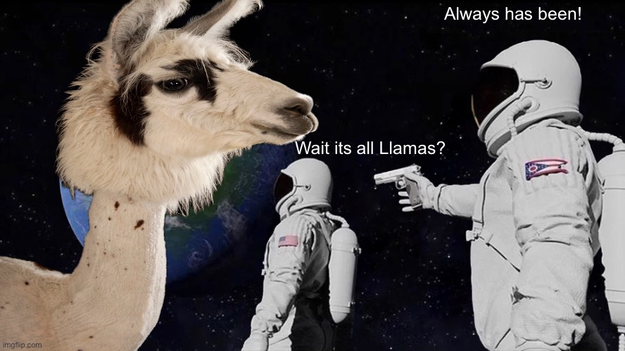 Always Has Been Meme | Always has been! Wait its all Llamas? | image tagged in memes,always has been | made w/ Imgflip meme maker