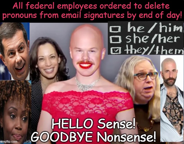 Americans will be identifying as sane again! | All federal employees ordered to delete 
pronouns from email signatures by end of day! HELLO Sense!
GOODBYE Nonsense! | image tagged in change,woke,dope,pronouns,past pronouns,political humor | made w/ Imgflip meme maker