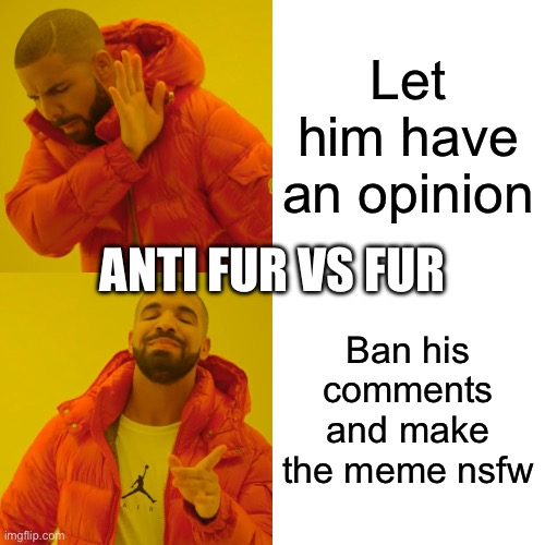 Bro like literally what? - which one is which? | Let him have an opinion; ANTI FUR VS FUR; Ban his comments and make the meme nsfw | image tagged in memes,drake hotline bling | made w/ Imgflip meme maker