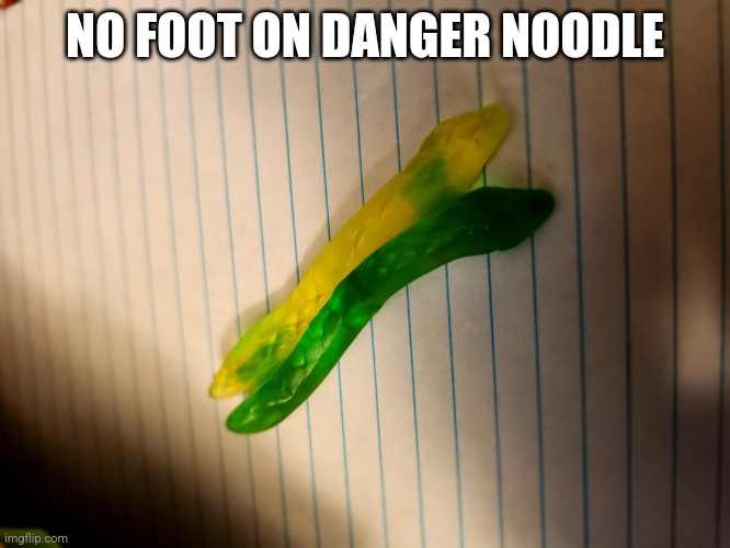 No foot in danger noodle | NO FOOT ON DANGER NOODLE | image tagged in danger noodle,snek | made w/ Imgflip meme maker