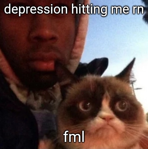 tyler the creator and grumpy cat | depression hitting me rn; fml | image tagged in tyler the creator and grumpy cat | made w/ Imgflip meme maker