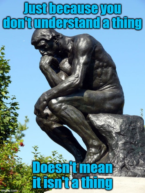 A thing | Just because you don't understand a thing; Doesn't mean it isn't a thing | image tagged in the thinker | made w/ Imgflip meme maker