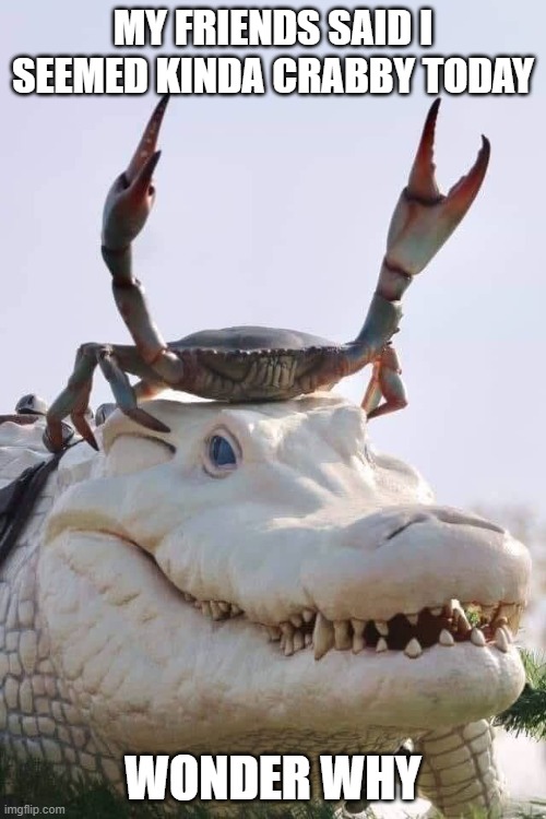 Crab on Crocodile | MY FRIENDS SAID I SEEMED KINDA CRABBY TODAY; WONDER WHY | image tagged in crab on crocodile | made w/ Imgflip meme maker