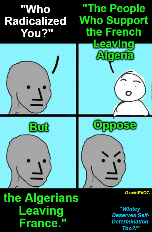 "Whitey Deserves Self-Determination Too?!" | image tagged in npc,liberal logic,antiwhite planet,double standards,questions and answers,clown world | made w/ Imgflip meme maker