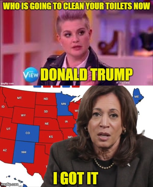 Kamala fills a roll in the trump administration | I GOT IT | image tagged in white house,maga,kamala harris,make america great again,2025,the view | made w/ Imgflip meme maker