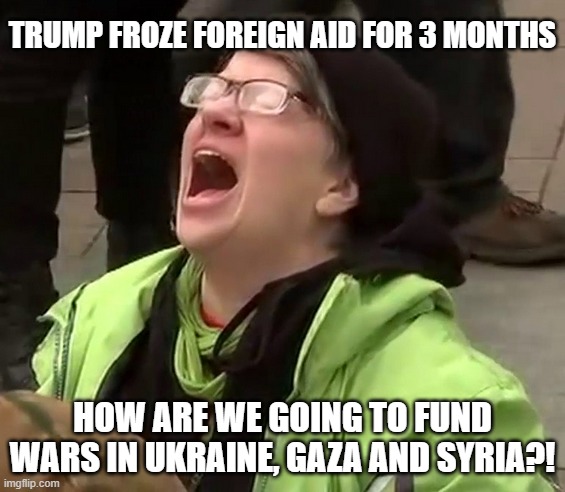 Crying liberal | TRUMP FROZE FOREIGN AID FOR 3 MONTHS; HOW ARE WE GOING TO FUND WARS IN UKRAINE, GAZA AND SYRIA?! | image tagged in crying liberal | made w/ Imgflip meme maker