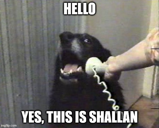 hello this is dog | HELLO; YES, THIS IS SHALLAN | image tagged in hello this is dog | made w/ Imgflip meme maker