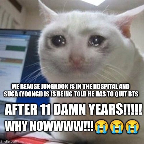 WHY IS THIS HAPPENING!!!??? | ME BEAUSE JUNGKOOK IS IN THE HOSPITAL AND  SUGA (YOONGI) IS IS BEING TOLD HE HAS TO QUIT BTS; AFTER 11 DAMN YEARS!!!!! WHY NOWWWW!!!😭😭😭 | image tagged in crying cat,help them plz | made w/ Imgflip meme maker