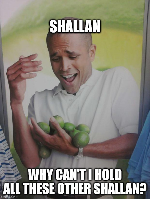 Why Can't I Hold All These Limes Meme | SHALLAN; WHY CAN'T I HOLD ALL THESE OTHER SHALLAN? | image tagged in memes,why can't i hold all these limes | made w/ Imgflip meme maker