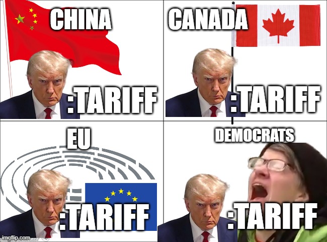 4 panel comic | CANADA; CHINA; :TARIFF; :TARIFF; DEMOCRATS; EU; :TARIFF; :TARIFF | image tagged in 4 panel comic | made w/ Imgflip meme maker