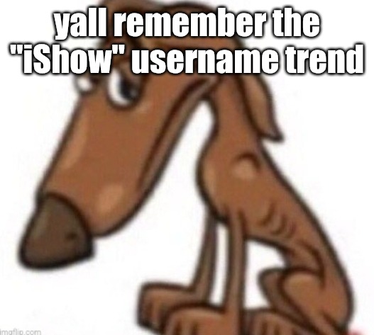 sad dog | yall remember the "iShow" username trend | image tagged in sad dog | made w/ Imgflip meme maker