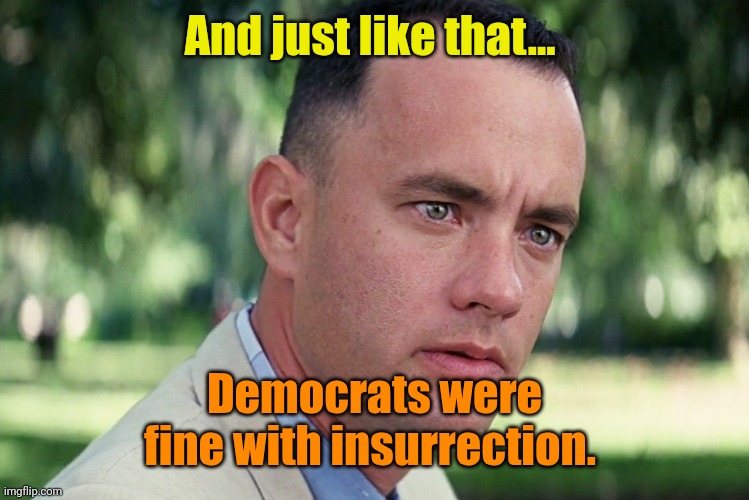 And Just Like That Meme | And just like that... Democrats were fine with insurrection. | image tagged in memes,and just like that | made w/ Imgflip meme maker