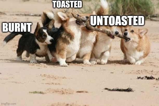 The real three stages of bread | TOASTED; UNTOASTED; BURNT | image tagged in corgi teamwork | made w/ Imgflip meme maker