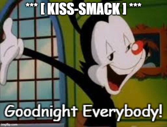 *** [ KISS-SMACK ] *** | image tagged in yakko goodnight | made w/ Imgflip meme maker