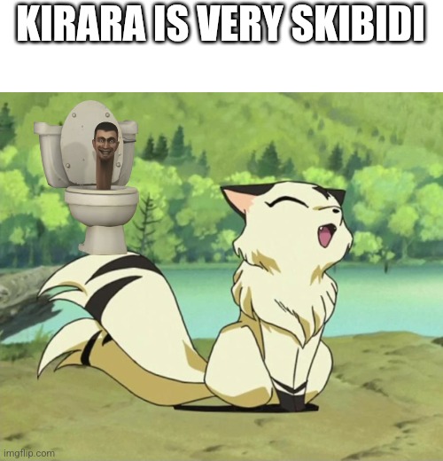 How to use skibidi (skibidi means, bad or cool) | KIRARA IS VERY SKIBIDI | image tagged in kirara | made w/ Imgflip meme maker