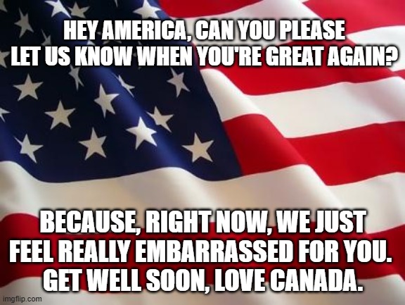 america great again | HEY AMERICA, CAN YOU PLEASE LET US KNOW WHEN YOU'RE GREAT AGAIN? BECAUSE, RIGHT NOW, WE JUST FEEL REALLY EMBARRASSED FOR YOU. 
GET WELL SOON, LOVE CANADA. | image tagged in american flag | made w/ Imgflip meme maker