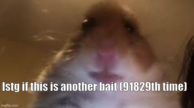 facetime hamster | Istg if this is another bait (91829th time) | image tagged in facetime hamster | made w/ Imgflip meme maker