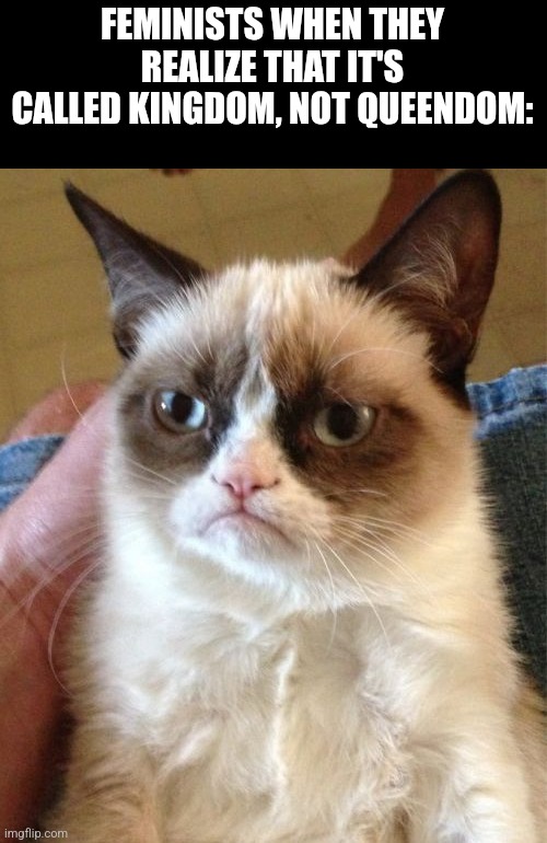 Grumpy Cat | FEMINISTS WHEN THEY REALIZE THAT IT'S CALLED KINGDOM, NOT QUEENDOM: | image tagged in memes,grumpy cat,feminism,kingdom,cats | made w/ Imgflip meme maker