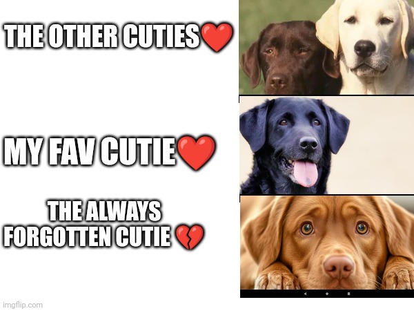 Everyone spread the word and get these cuties more popular on the internet | THE OTHER CUTIES❤; MY FAV CUTIE❤; THE ALWAYS FORGOTTEN CUTIE 💔 | image tagged in sad but true | made w/ Imgflip meme maker