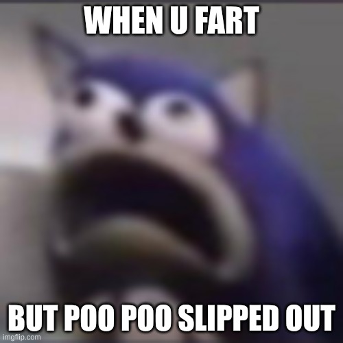 HEHE | WHEN U FART; BUT POO POO SLIPPED OUT | image tagged in distress | made w/ Imgflip meme maker