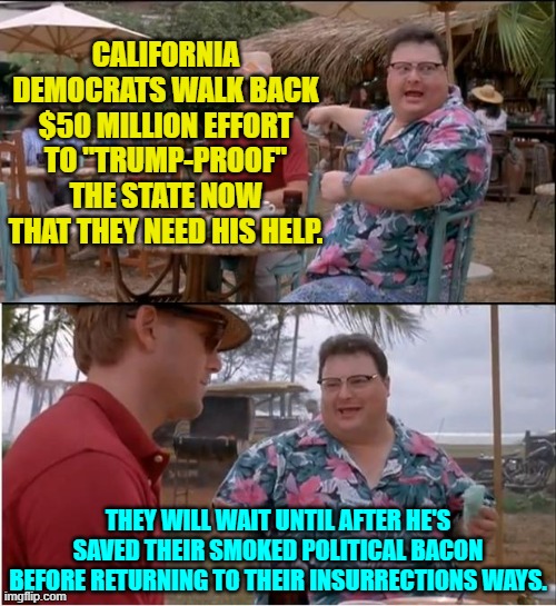 Remember . . . NOTHING is insurrection when leftists do it.  It's apparently the LAW. | CALIFORNIA DEMOCRATS WALK BACK $50 MILLION EFFORT TO "TRUMP-PROOF" THE STATE NOW THAT THEY NEED HIS HELP. THEY WILL WAIT UNTIL AFTER HE'S SAVED THEIR SMOKED POLITICAL BACON BEFORE RETURNING TO THEIR INSURRECTIONS WAYS. | image tagged in yep | made w/ Imgflip meme maker