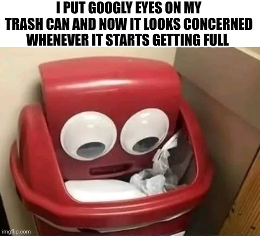 I Put Googly Eyes On My Trash Can And Now It Looks Concerned Whenever It Starts Getting Full | I PUT GOOGLY EYES ON MY TRASH CAN AND NOW IT LOOKS CONCERNED WHENEVER IT STARTS GETTING FULL | image tagged in chris joines | made w/ Imgflip meme maker