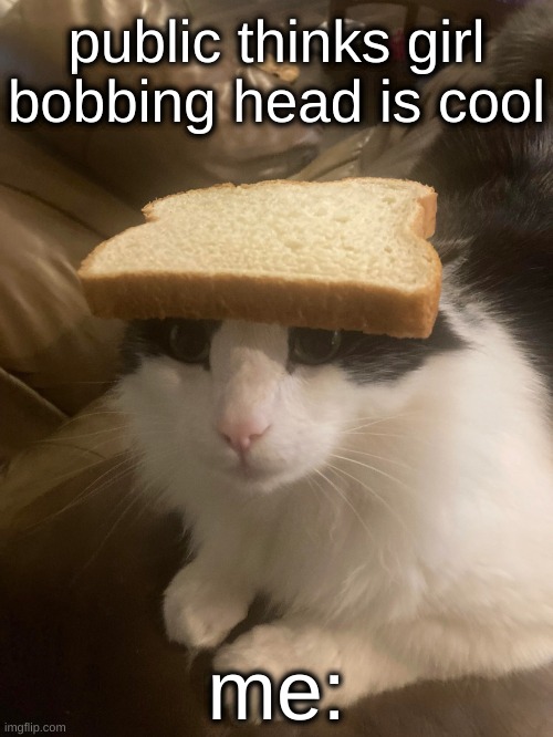 bread cat | public thinks girl bobbing head is cool; me: | image tagged in bread cat | made w/ Imgflip meme maker