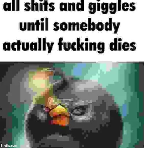 all shits and giggles until somebody dies | image tagged in all shits and giggles until somebody dies | made w/ Imgflip meme maker