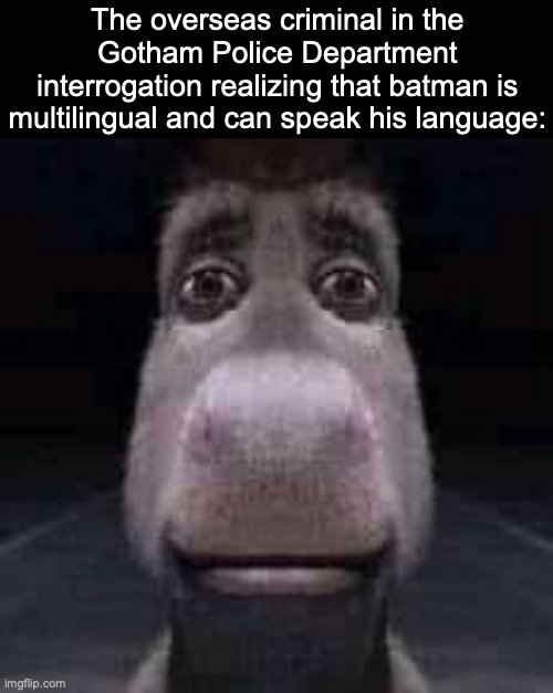 batman knows alot of things | The overseas criminal in the Gotham Police Department interrogation realizing that batman is multilingual and can speak his language: | image tagged in donkey staring,memes,batman,dc comics,dc,justice league | made w/ Imgflip meme maker