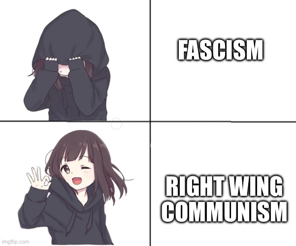 Fascism is just right wing communism | FASCISM; RIGHT WING COMMUNISM | image tagged in anime girl hotline bling | made w/ Imgflip meme maker